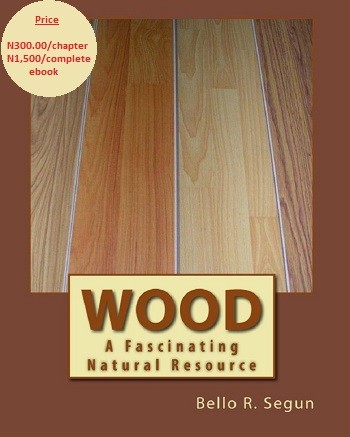 Wood: A Fascinating Natural Resource