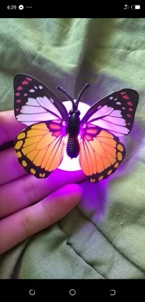 Luminous butterfly