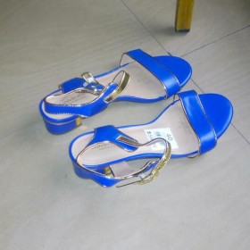 Blue High Heeled Female Shoe