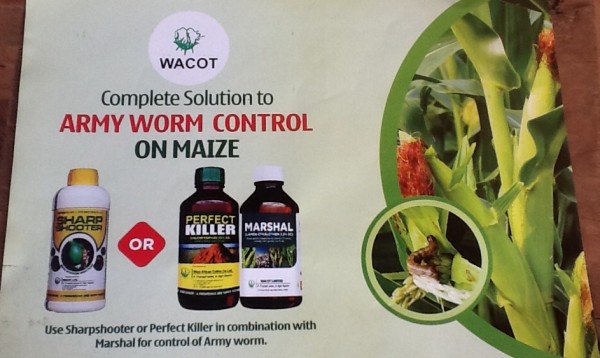 Complete Solution to ARMY WORM Control on Maize