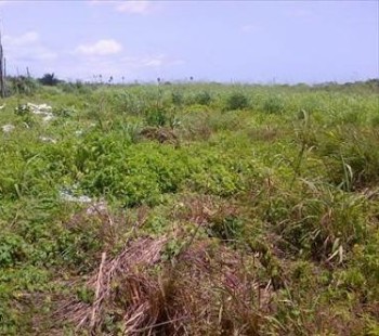 Land For Sale In Warri, Delta State